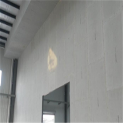 襄樊新型建筑材料掺多种工业废渣的ALC|ACC|FPS模块板材轻质隔墙板
